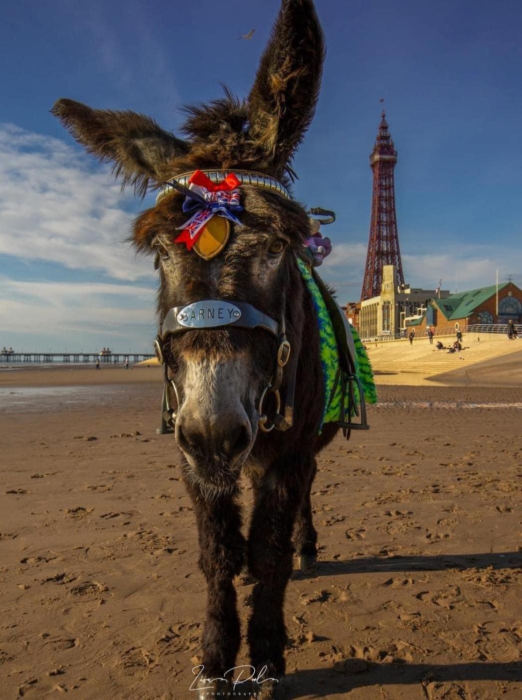 The Bailey Hotel Blackpool (Adults Only) Extérieur photo